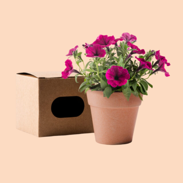 DECORATIUNI SI DIVERTISMENT